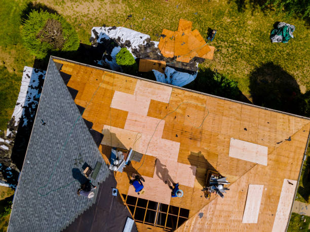 Quick and Trustworthy Emergency Roof Repair Services in Mckenzie, TN