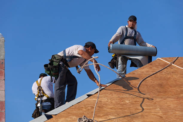 Roof Gutter Cleaning in Mckenzie, TN