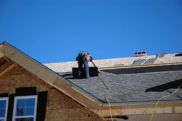 Best Storm Damage Roof Repair  in Mckenzie, TN