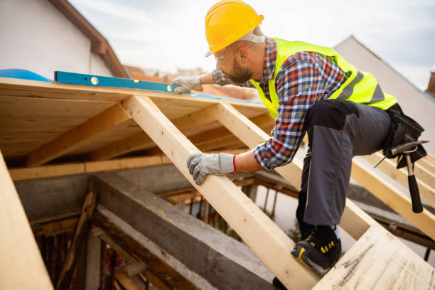 Best Local Roofing Companies  in Mckenzie, TN