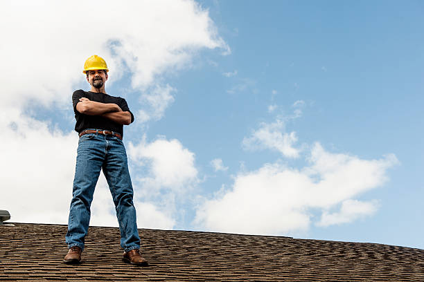 Best Residential Roof Replacement  in Mckenzie, TN
