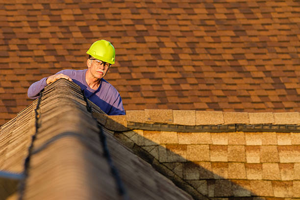 Best Roofing Contractor Near Me  in Mckenzie, TN